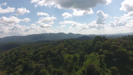 Flug-über-Den-Amazonas-Regenwald-In-Französisch-Guayana.-Sonniger-Tag-Große-Weiße-Wolken.